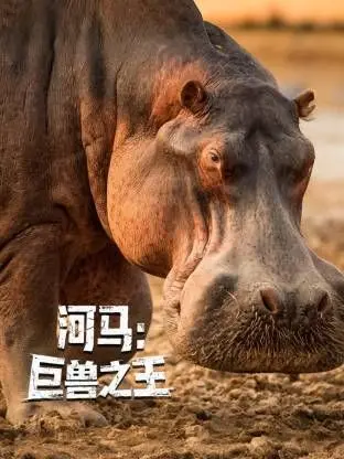 《河马：巨兽之王》：凶猛河马称霸动物世界，一场血腥又残酷的生存之战！