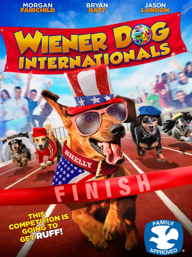 《狗狗总动员》：萌宠治愈系喜剧，看汪星人如何拯救人类的爱恨纠葛