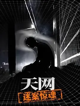 《天网：迷案惊魂》评测：当艺术被悬疑强奸，这剧还能看吗？